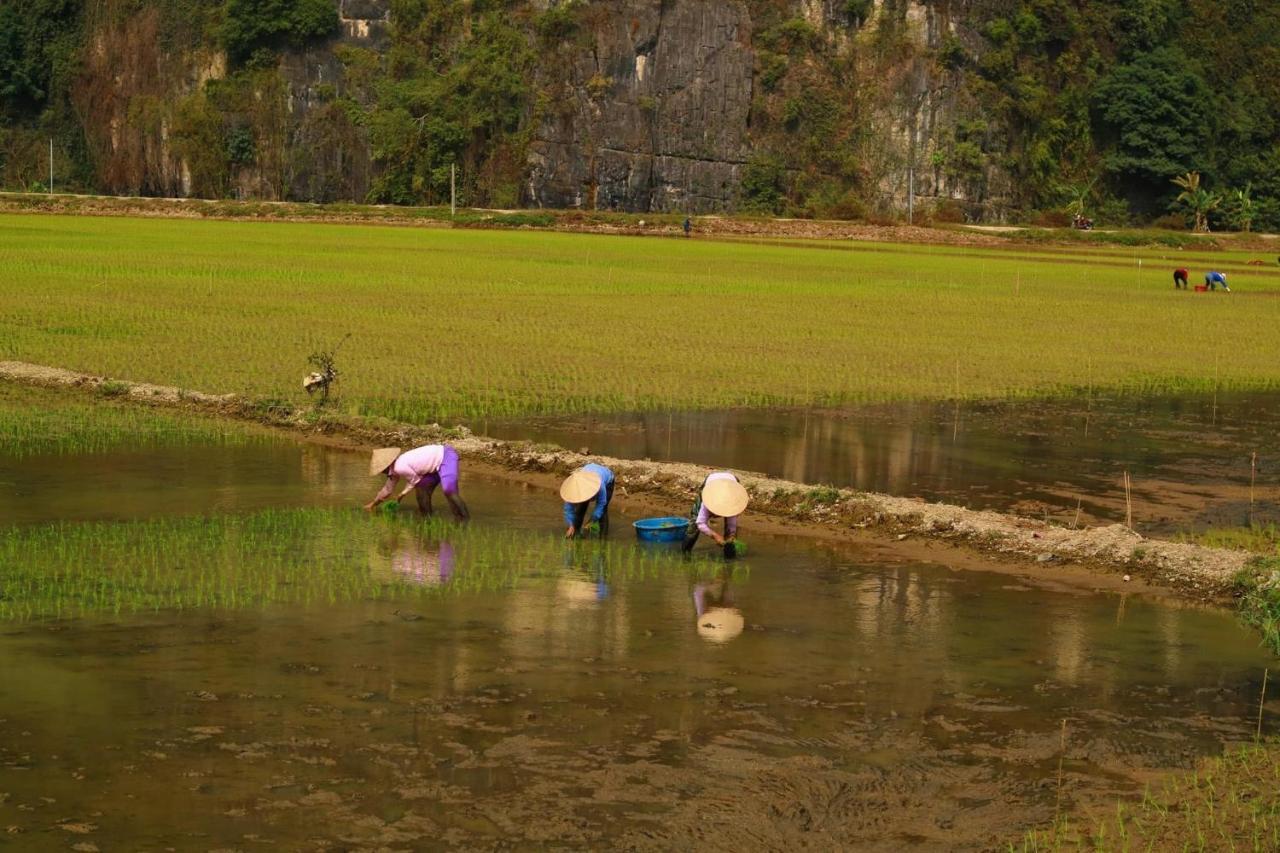 Tuan Nam Homestay ニンビン エクステリア 写真