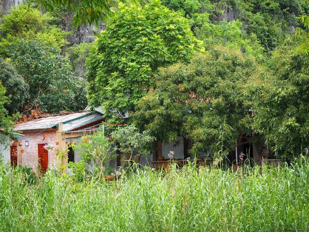 Tuan Nam Homestay ニンビン エクステリア 写真